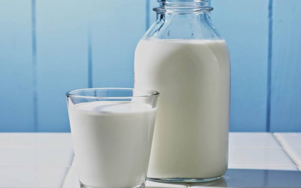 La importancia fundamental de la leche para la alimentación humana Mundoagropecuario La importancia fundamental de la leche para la alimentación humana Mundoagropecuario