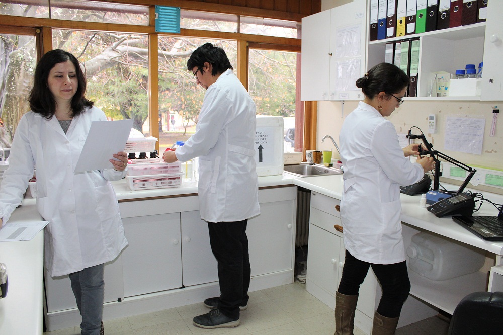 Laboratorio del Icytal obtiene acreditación internacional como proveedor de ensayos de aptitud alimentaria