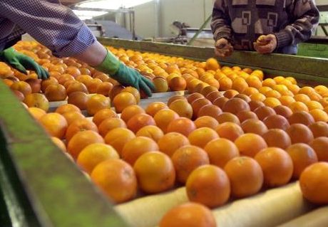 Comer fruta fuera de temporada podría ser perjudicial para la salud