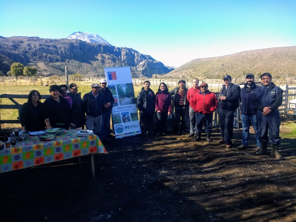 Productores caprinos de Ibáñez participaron en día de campo sobre diagnóstico de gestación por ecografía en chivas