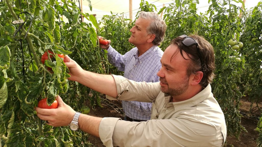 Nuevo encargado regional de FIA visita innovador proyecto de rescate del tomate Poncho Negro
