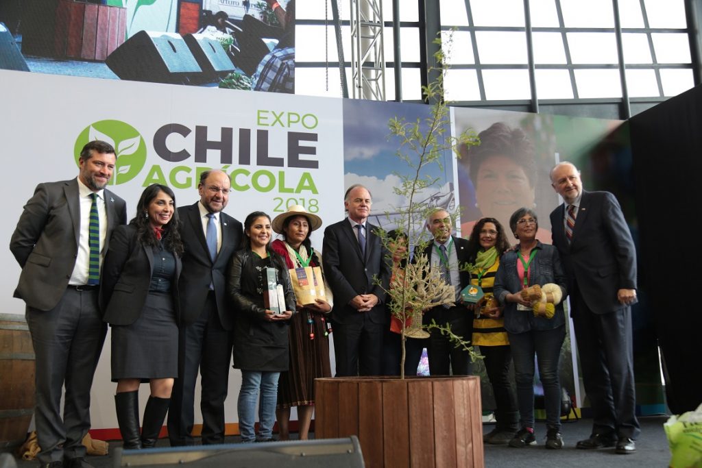  “El sector agrícola tiene mucho que decir en la segunda transición hacia el desarrollo de Chile”