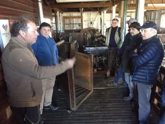 Profesionales de INDAP realizaron visita a Magallanes para recoger experiencias del rubro ovino