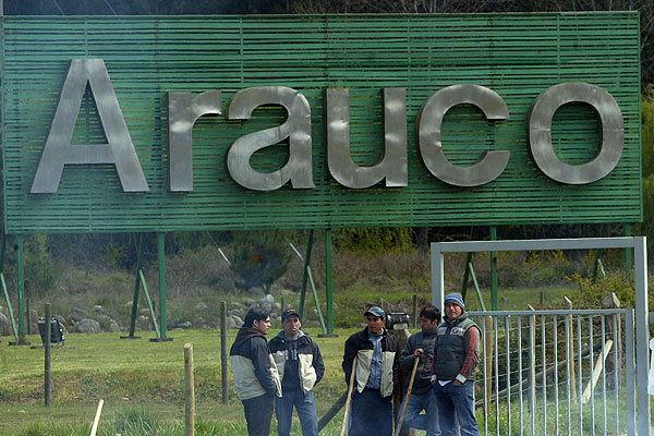 Juzgado Civil de Cañete ordenó a bosques Arauco, la restitución de 97 hectáreas a una comunidad indígena 