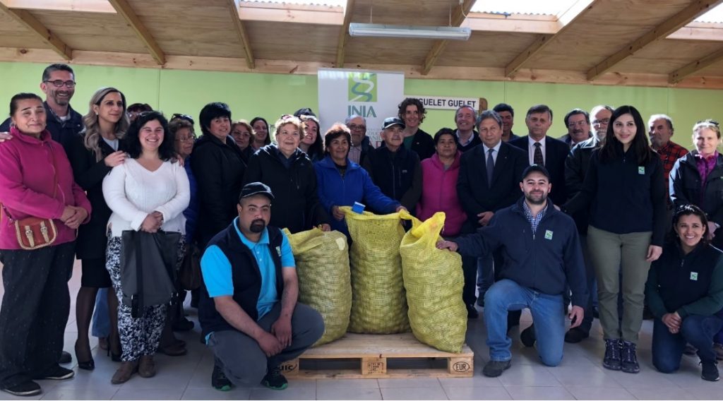 Se concreta última entrega de papa semilla certificada a pequeños agricultores de Magallanes