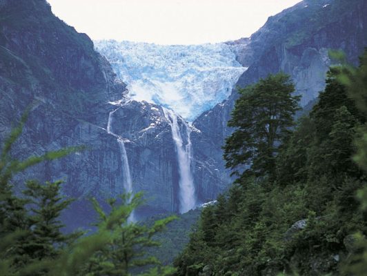 CONAF celebra Día Nacional del Medioambiente liberando ingreso a parques nacionales