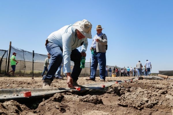 Pequeños productores de maíz conocieron las ventajas del riego por manga