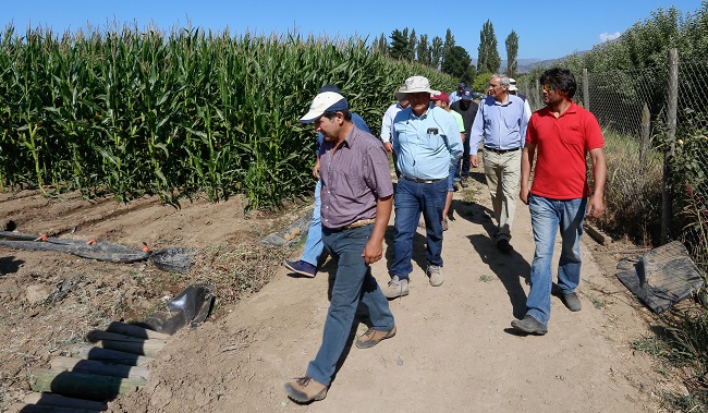 Pequeños productores de maíz conocieron las ventajas del riego por manga