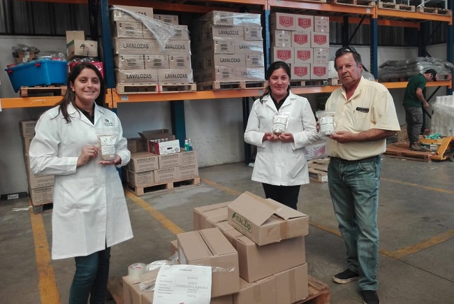 Cooperativa de O’Higgins realiza primera venta de quínoa para raciones escolares de Junaeb