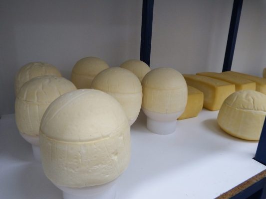 Desarrollarán tecnología para combatir hongos que afectan a la industria del queso