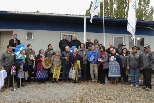 Investigación de la UC Temuco potencia valor nutricional del lupino amargo