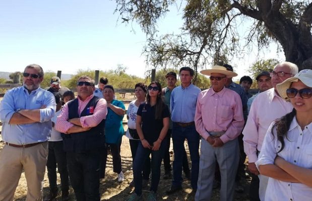 Destacan resultados de Programa de Mejoramiento Productivo y Genético en rubro bovino de O’Higgins