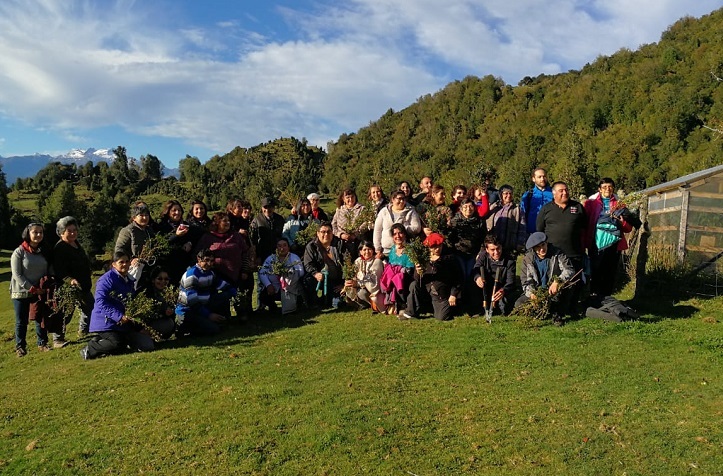 Programa Frutales de INDAP Aysén realiza día de campo para potenciar el cultivo de murtilla