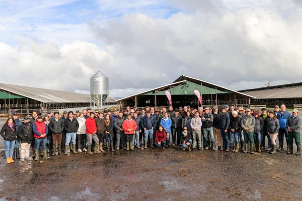 Cooprinsem lanzó Catálogo de “Toros de Carne 2019”