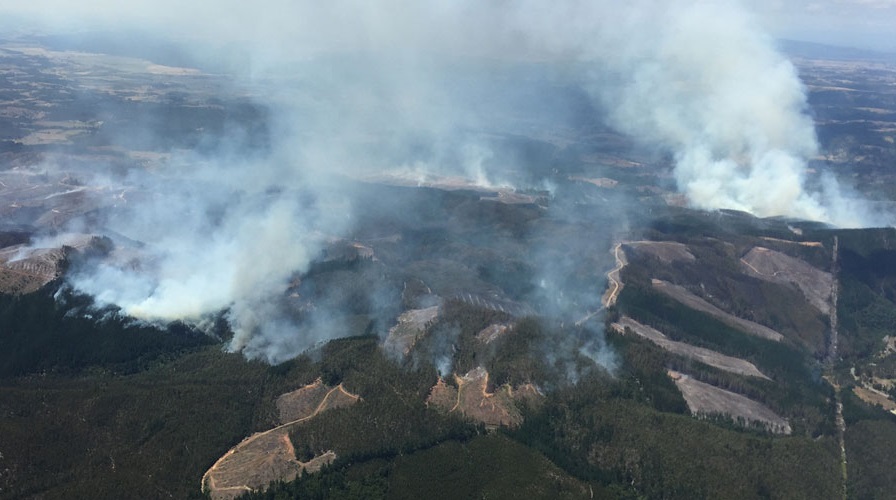 Llaman a reforzar prevención de incendios forestales en Curanilahue