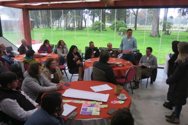 Gran convocatoria en taller de visión conjunta, validación y plan de acción del PTI Lechero de Los Lagos