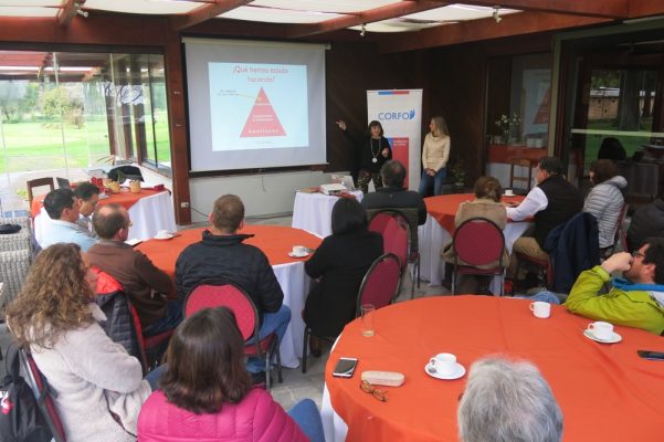 Gran convocatoria en taller de visión conjunta, validación y plan de acción del PTI Lechero de Los Lagos