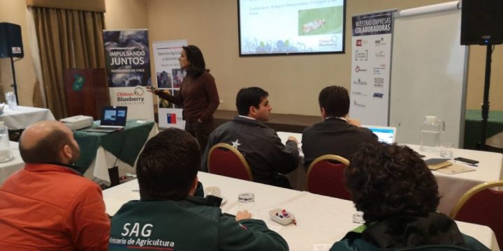 SAG Biobío da a conocer Systems Approach a productores de arándanos de la región