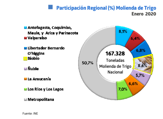 Molienda de trigo de la Región del Biobío creció un 17,6%