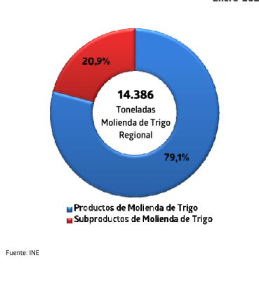 Molienda de trigo de la Región del Biobío creció un 17,6%