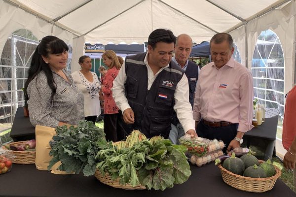 Agricultores de mercados campesinos de Coronel reciben insumos