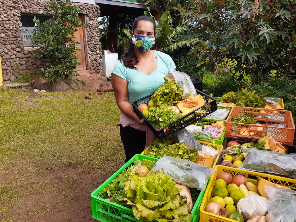 Jóvenes agricultores de Rapa Nui se reinventan para abastecer de frutas y hortalizas a isleños