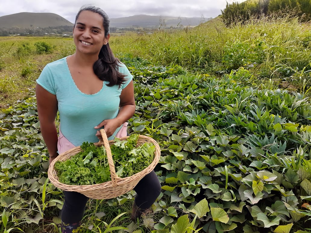 Jóvenes agricultores de Rapa Nui se reinventan para abastecer de frutas y hortalizas a isleños